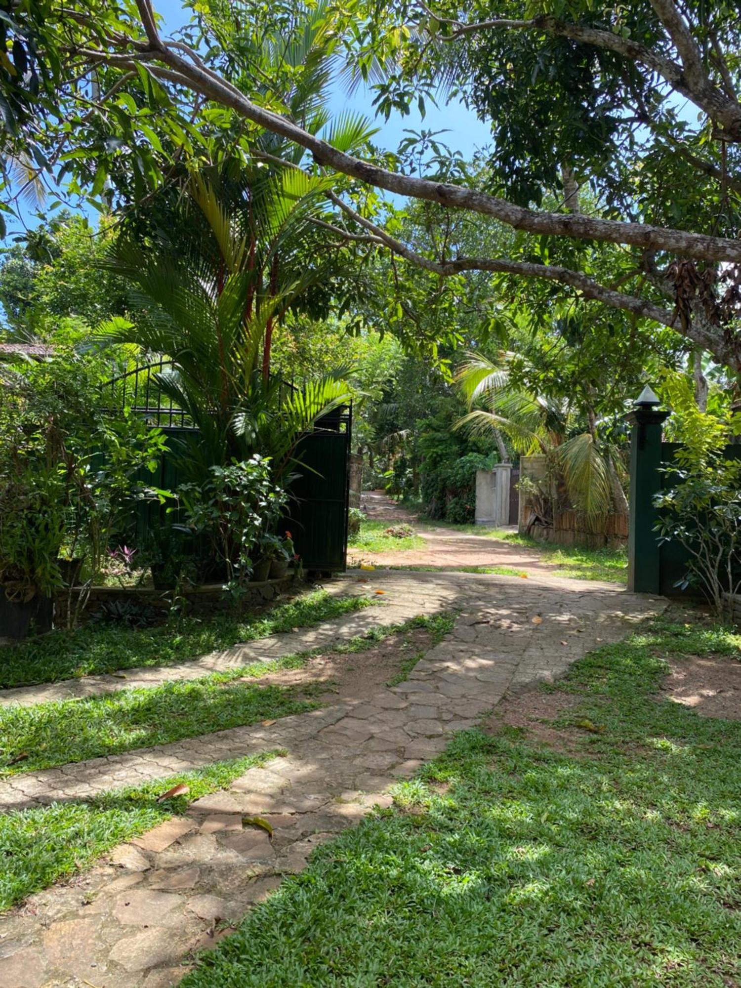 Village Home-